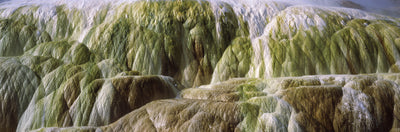 Geothermal Energy, Yellowstone National Park Photographic Mural