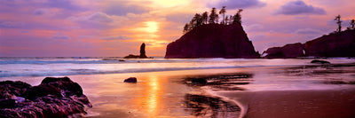 Olympic National Park at Dusk Photographic Mural