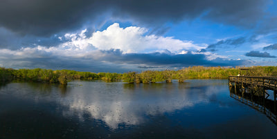 Lake at Everglades National Park Photographic Mural
