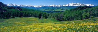 San Miguel Mountains, Telluride Photographic Mural