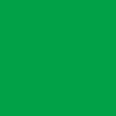 Glossy Contact Paper - Green