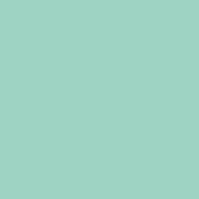 Glossy Contact Paper - Mint