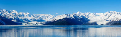 College Fjord, Glacier Bay National Park Photographic Mural