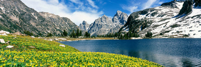 North Fork Cascade Canyon, Grand Teton National Park Photographic Mural