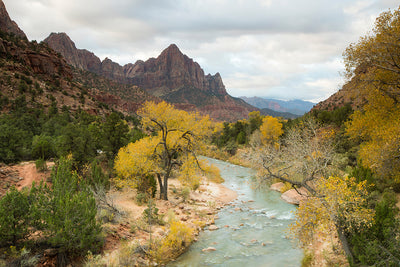 Zion National Park in Autumn Photographic Mural