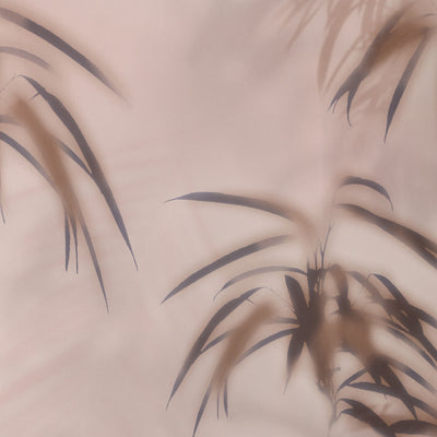 Parlor Palm Wallpaper - Blush