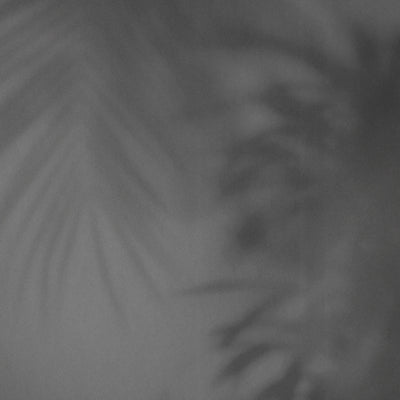 Ghost Palm Wallpaper - Charcoal