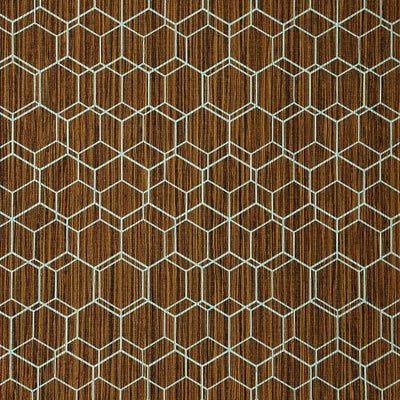 Wire Hex Wallpaper - Brown