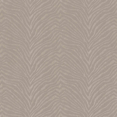 Zebra Crossing Wallpaper | 220532