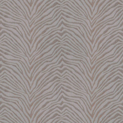 Zebra Crossing Wallpaper | 220534