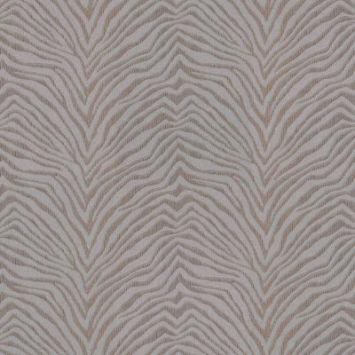 Zebra Crossing Wallpaper | 220534