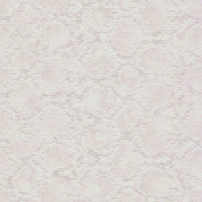 Scaly Python Wallpaper | 220540