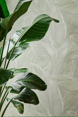Palms Wallpaper - Green