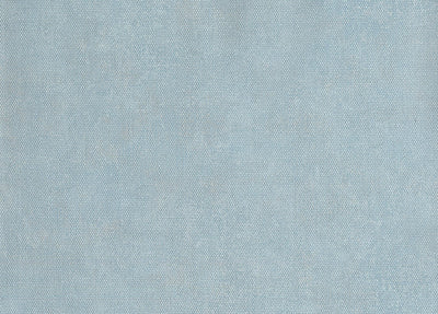 Unito Airone Wallpaper - 25667