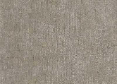 Unito Airone Wallpaper - 25669