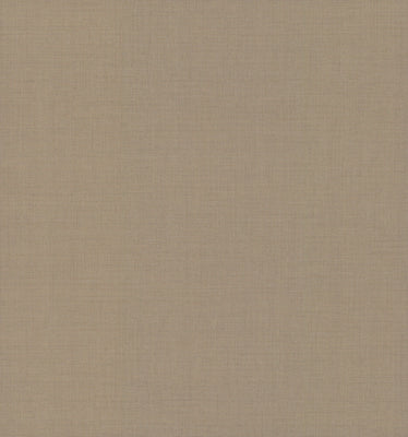 Gesso Weave Wallpaper - Camel