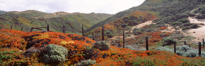 Santa Lucia Mountains, California Photographic Mural