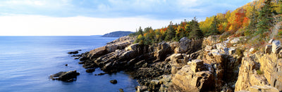 Acadia National Park Photographic Mural