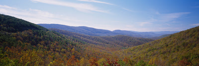 Appalachian Mountains, Shenandoah National Park Photographic Mural