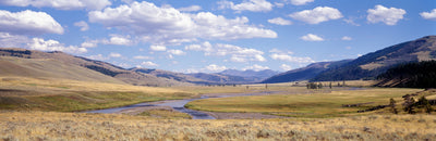 Lamar Valley, Yellowstone National Park Photographic Mural