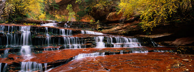 North Creek, Zion National Park Photographic Mural