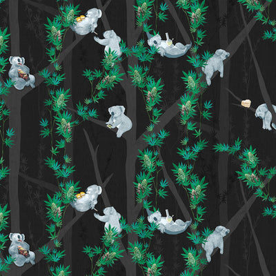 Kushy Koalas Wallpaper - Grass