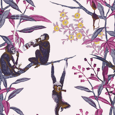 Drunk Monkeys Wallpaper - Colada
