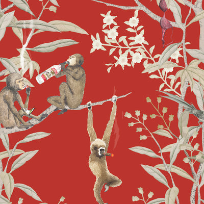 Drunk Monkeys Wallpaper - Sangria