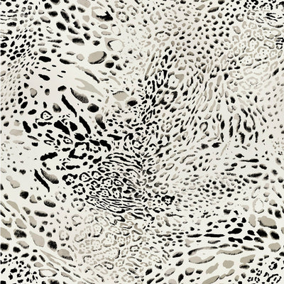Snow Leopard Wallpaper - Frost
