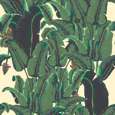 Banana Leaf Wallpaper - Cavendish