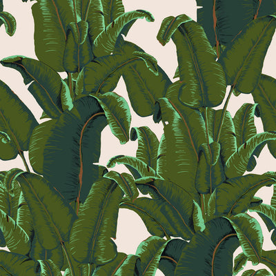 Banana Leaf Wallpaper - Burro