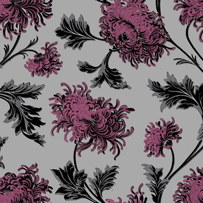 Chrysanthemum Wallpaper - Pink