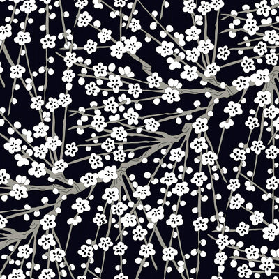 Cherry Blossom Wallpaper - Moonlight