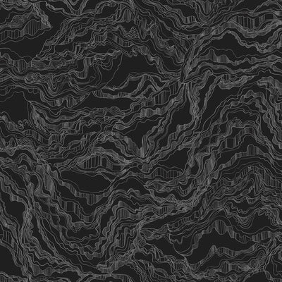 Shale Wallpaper - Carbon