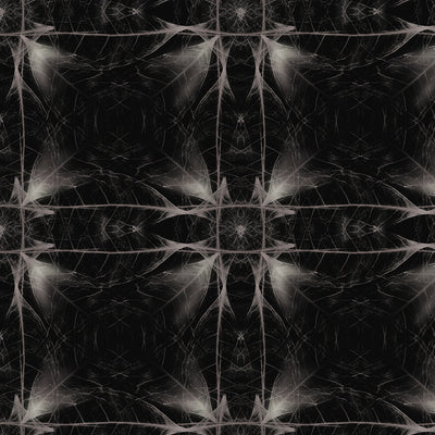 Synthesis Wallpaper - Ebony