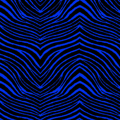 Sweet Zebra Wallpaper - Blue