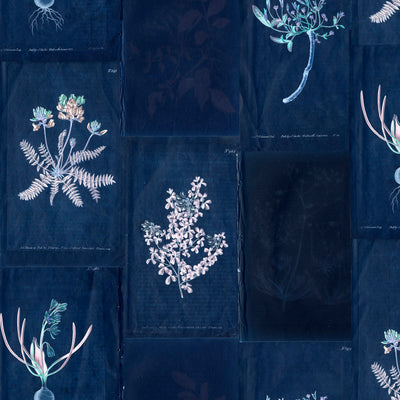 Botanical Collage Wallpaper - Air