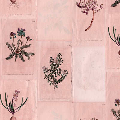 Botanical Collage Wallpaper - Essence