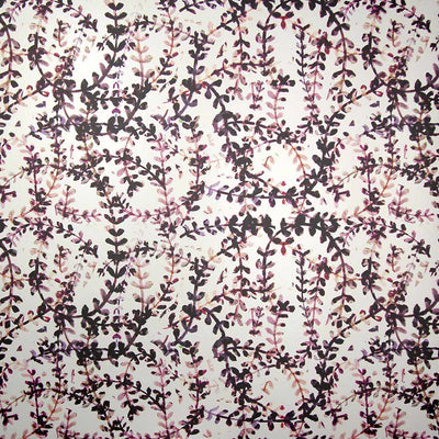 Kelp Tangle Wallpaper - Coral