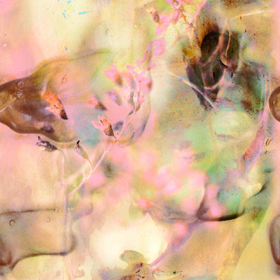 Juliet Wallpaper - Dusk