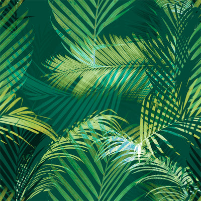 Palm Selleck Wallpaper - Molokai