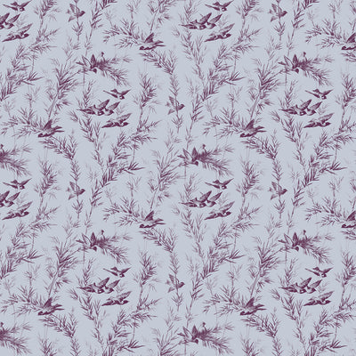 Soar Wallpaper - Rise