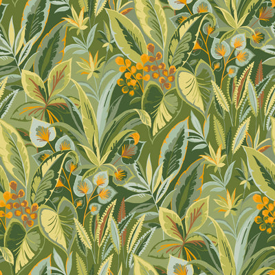 Amazon Wallpaper - Cloudberry