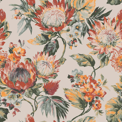 Protea Wallpaper - Cape Flora