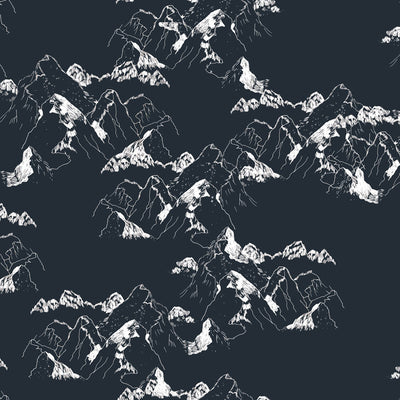 Alpine Wallpaper - Snowfield