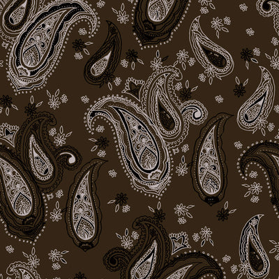 Paisley Wallpaper - Handkerchief