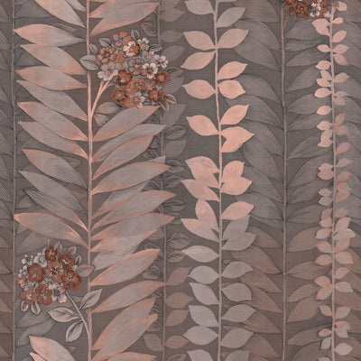 Climbing Hydrangea Wallpaper - Hortensia