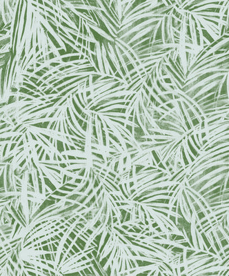 Areca Palm Wallpaper - Fern