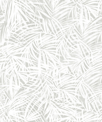 Areca Palm Wallpaper - Laurel
