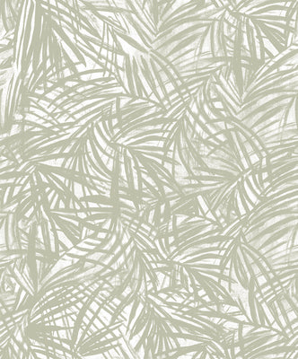 Areca Palm Wallpaper - Mist